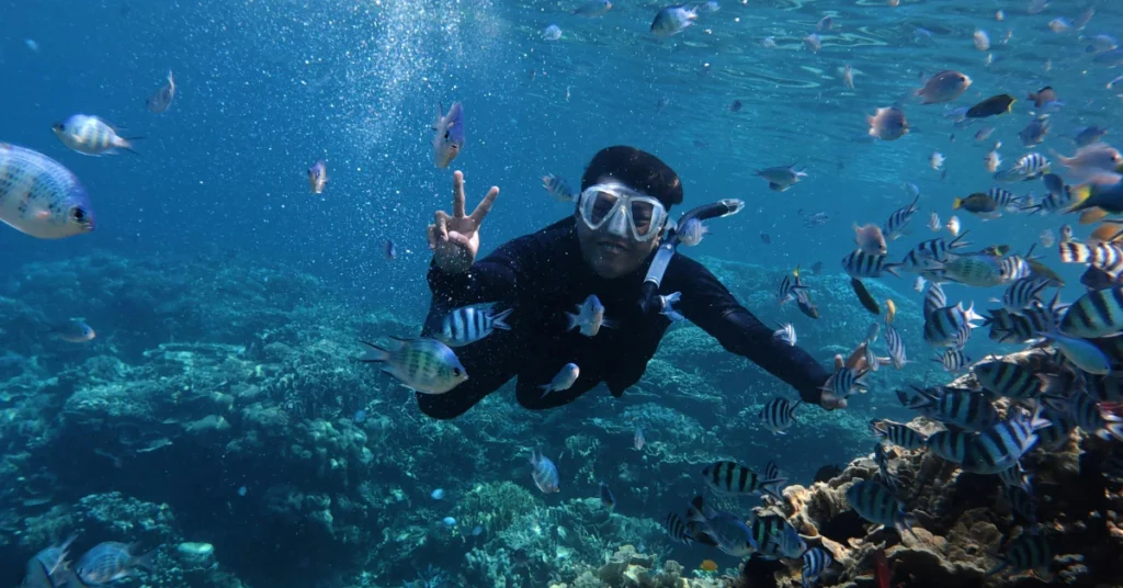 Windward & East Coast: Scenic Hikes & Snorkeling