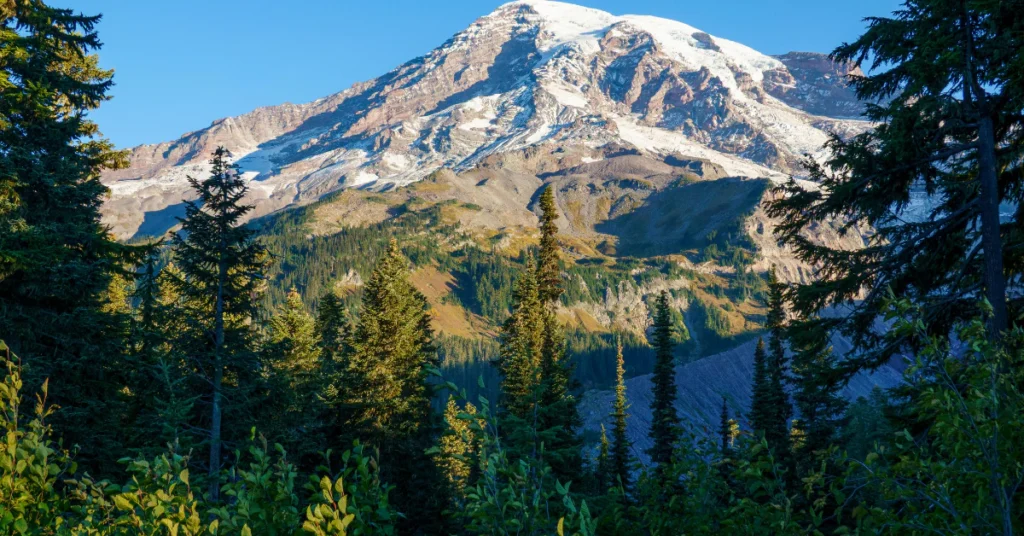 mount rainier national park hiking trail