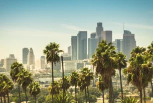 Los Angeles skyline with palm trees in the foreground
