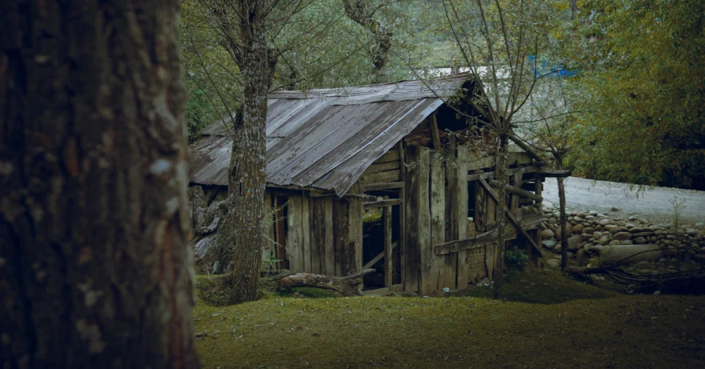 Old cabin ruins along Elkmont Ghost Town trail
