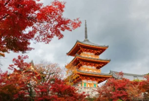 Red maple leaves framing a Kyoto pagoda under a cloudy sky