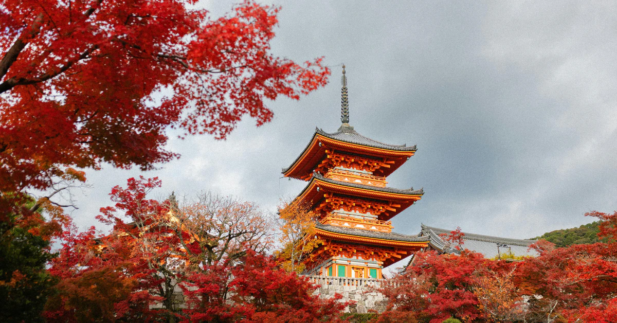 Red maple leaves framing a Kyoto pagoda under a cloudy sky