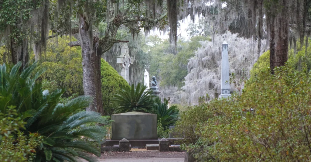 Spanish moss hanging from oak trees over a quiet path in Bonaventure Cemetery