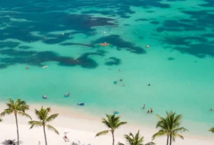 Aerial view of a tropical beach with palm trees, white sand and turquoise Caribbean water