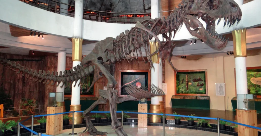 Museum hall with a dinosaur skeleton display, a typical NYC museum visit