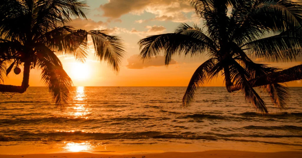 Sunset over the ocean framed by palm trees on a tropical Fiji beach