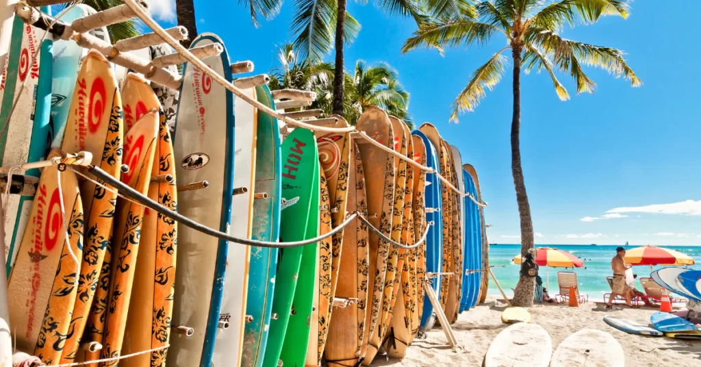 Colorful surfboards lined up on a Waikiki beach rack with palm trees and blue sky behind them