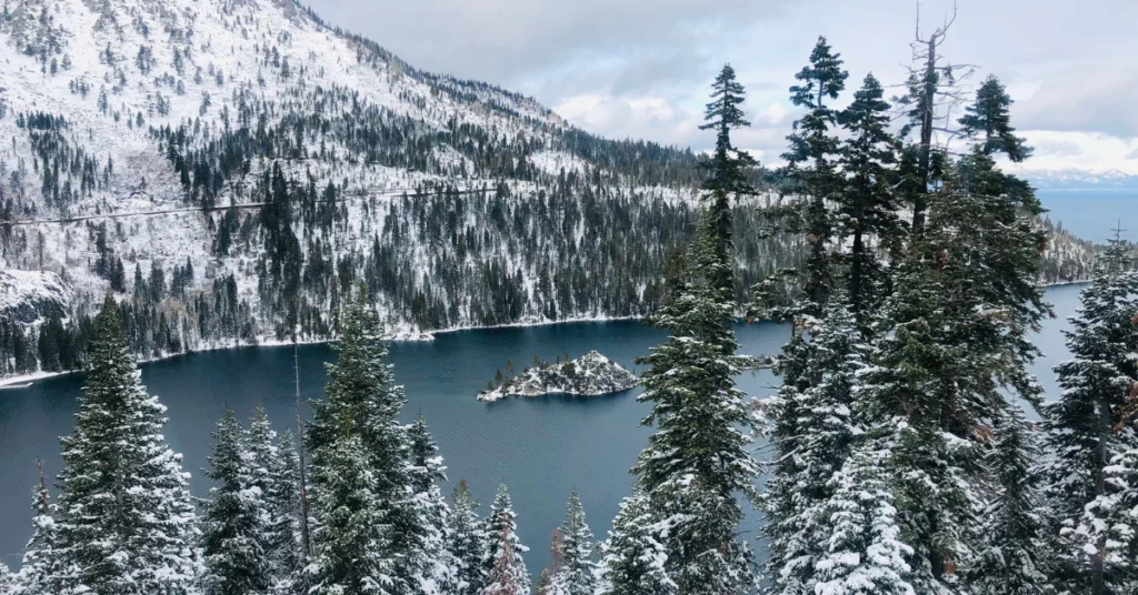 Snow-covered pine trees and mountains beside a lake in winter