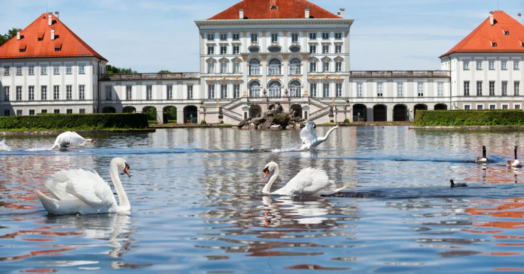 Swans on the lake in front of Nymphenburg Palace in Munich