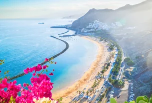 Curved sandy beach with turquoise water and pink flowers in the foreground