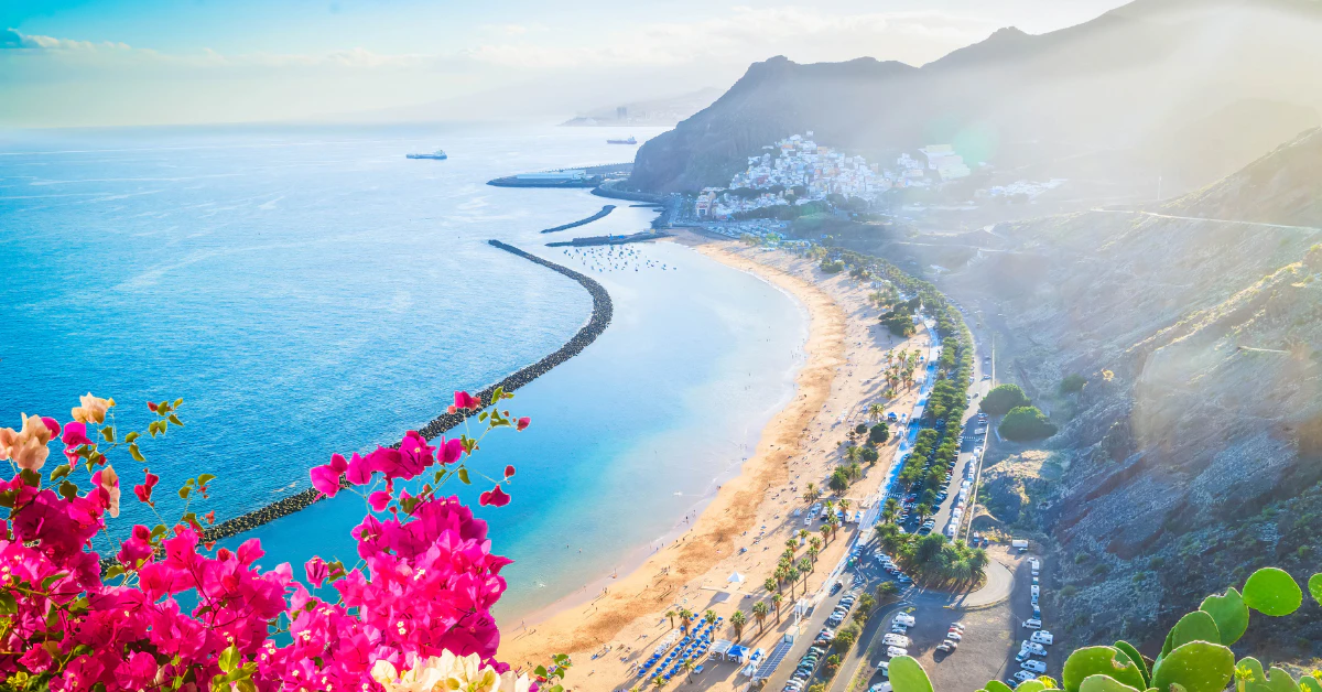 Curved sandy beach with turquoise water and pink flowers in the foreground