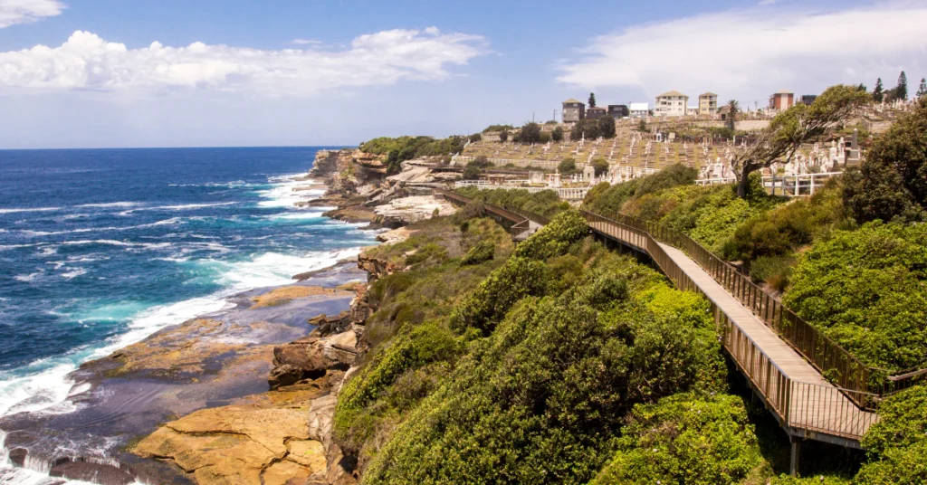 Clifftop coastal path winding along the ocean cliffs and green headlands near Bondi